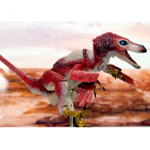 Velociraptor osmolskae (red).