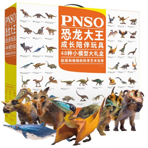 A PNSO gift box containing 48 small models.