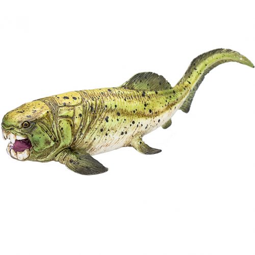 Dunkleosteus model (Mojo Fun).