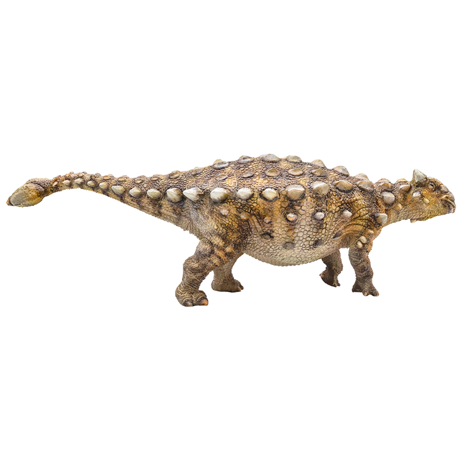 ankylosaurus pnso