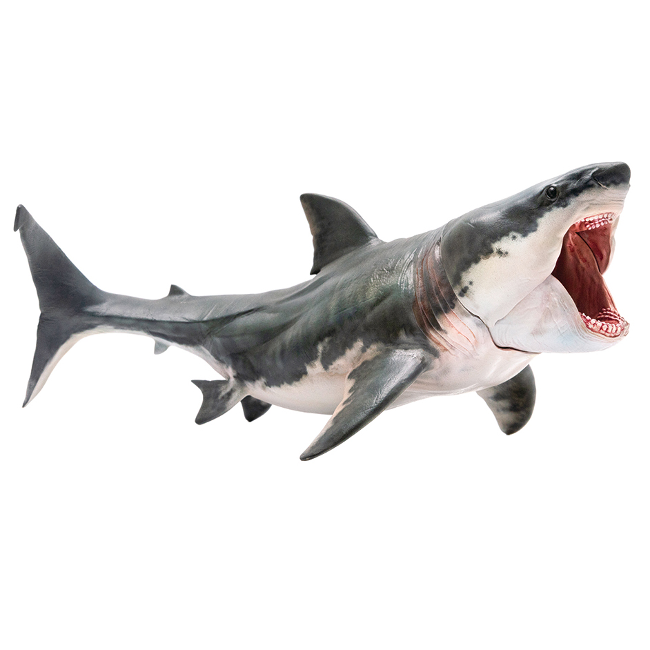 stuffed megalodon