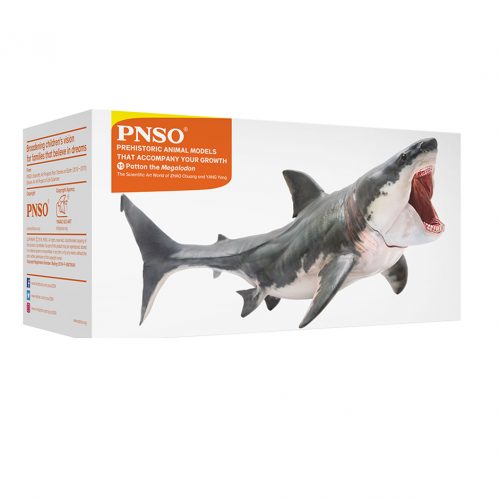 PNSO Patton the Megalodon model.