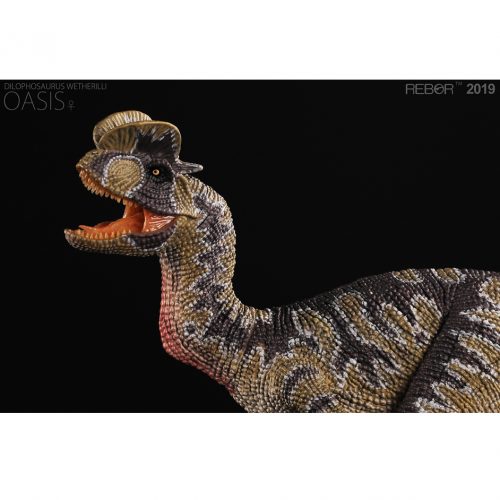 Rebor Dilophosaurus (Oasis).