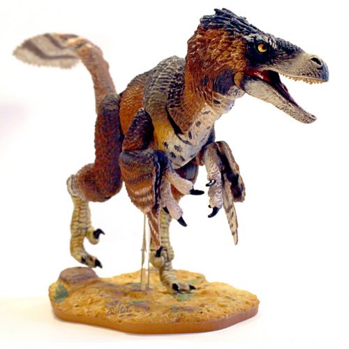 Raptor Series Adasaurus mongoliensis.
