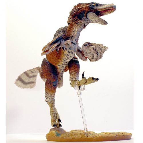 Raptor Series Adasaurus mongoliensis.
