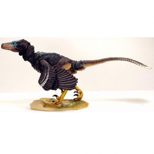 Raptor Series Balaur bondoc.