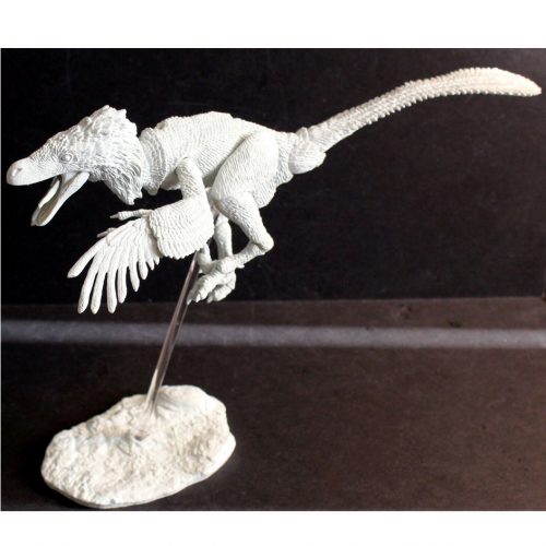 Build-a-Raptor Set A - Velociraptor dinosaur model.