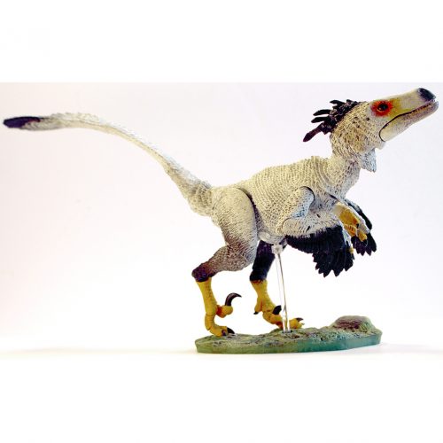 Raptor Series Saurornitholestes sullivani.