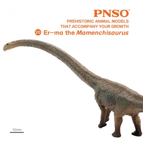 PNSO Er-ma the Mamenchisaurus dinosaur model.