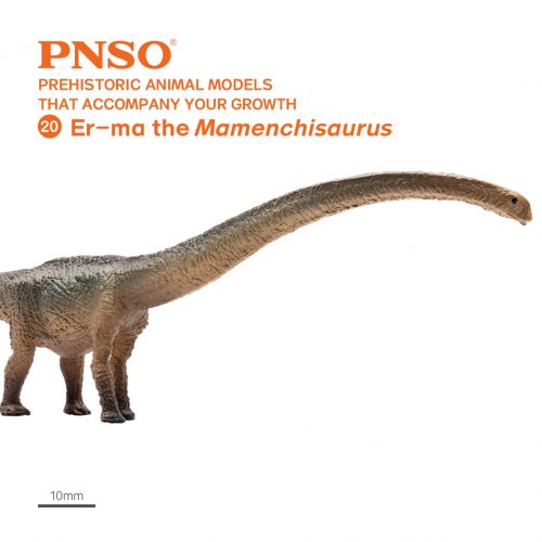 PNSO Er-ma the Mamenchisaurus dinosaur model.