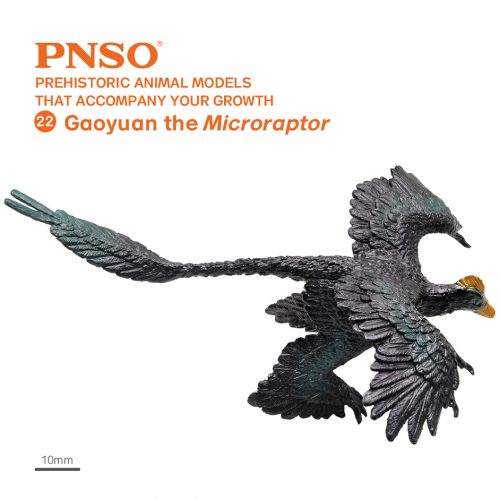 PNSO Gaoyuan the Microraptor model.