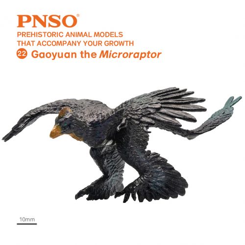 PNSO Gaoyuan the Microraptor model.