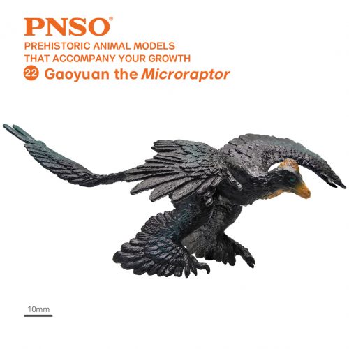 PNSO Gaoyuan the Microraptor model.