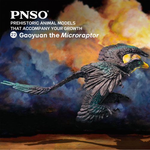 PNSO Gaoyuan the Microraptor model.