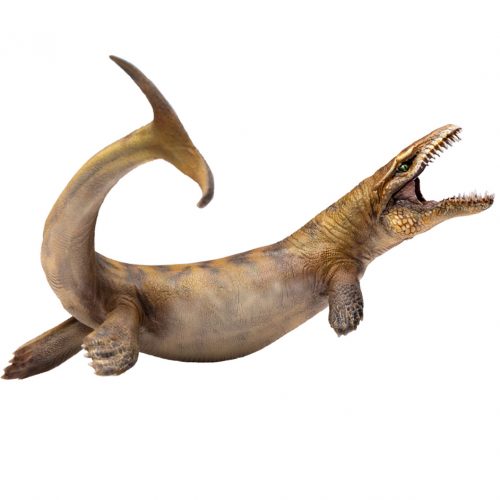 PNSO Paulwin the Dakosaurus.