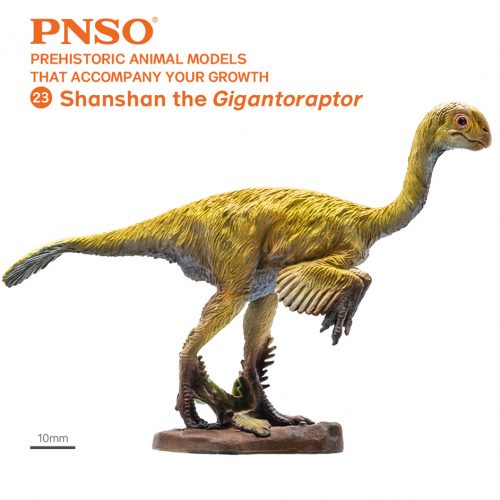 PNSO Shanshan the Gigantoraptor dinosaur model.