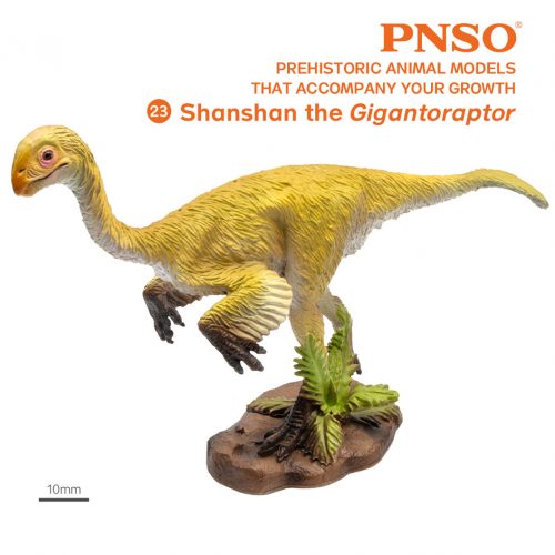 PNSO Shanshan the Gigantoraptor dinosaur model.