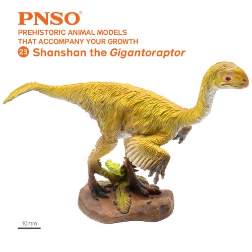 PNSO Shanshan the Gigantoraptor dinosaur model.