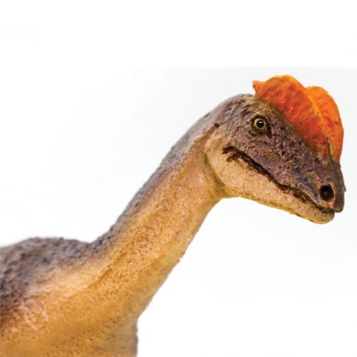 Wild Safari Prehistoric World Dilophosaurus Dinosaur Model