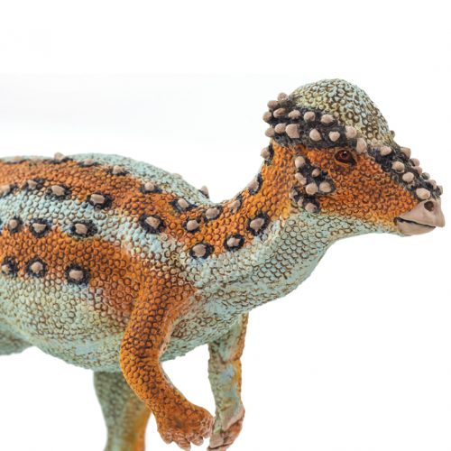 Wild Safari Prehistoric World Pachycephalosaurus Dinosaur Model