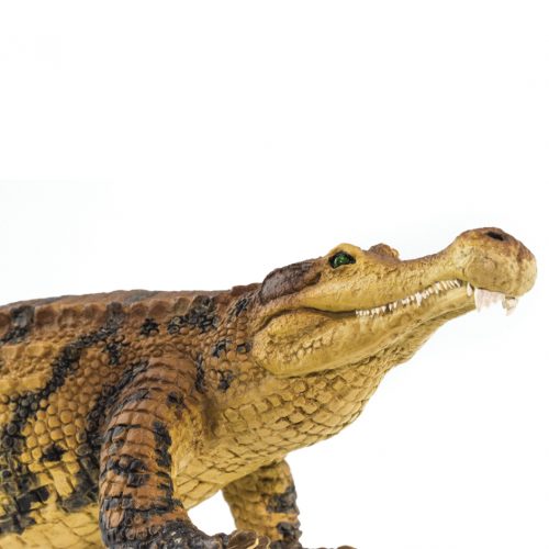 Wild Safari Prehistoric World Sarcosuchus Model