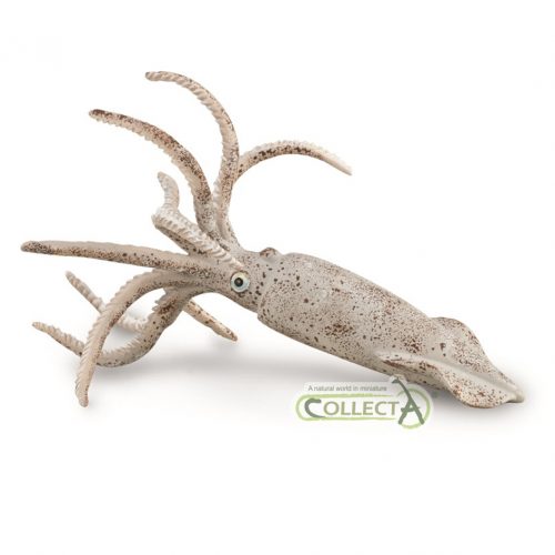 CollectA Belemnite model