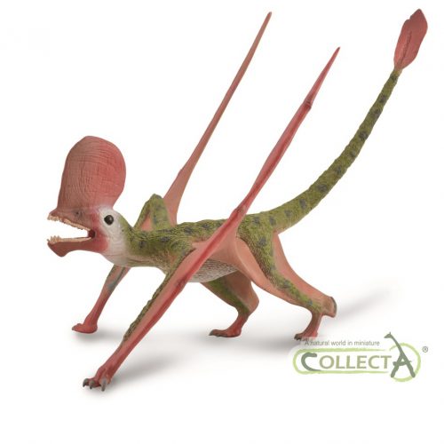 CollectA Deluxe Caviramus model with articulated jaw (1:2 scale)