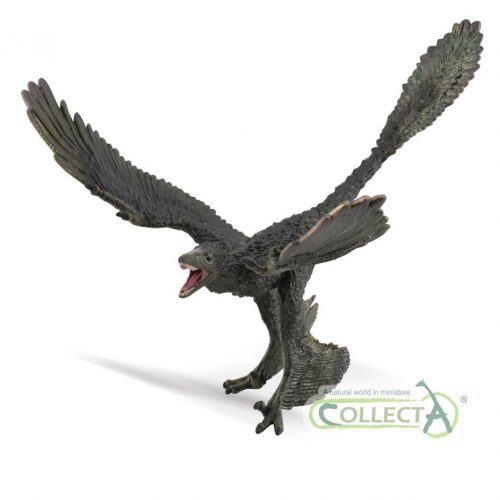 CollectA Deluxe Microraptor dinosaur model CollectA Age of Dinosaurs Microraptor (1:6 scale)