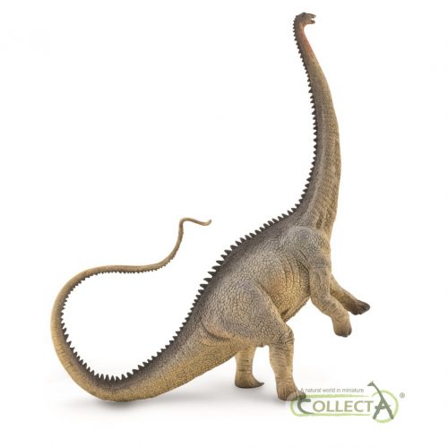 CollectA Diplodocus (Rearing Diplodocus - Grey)