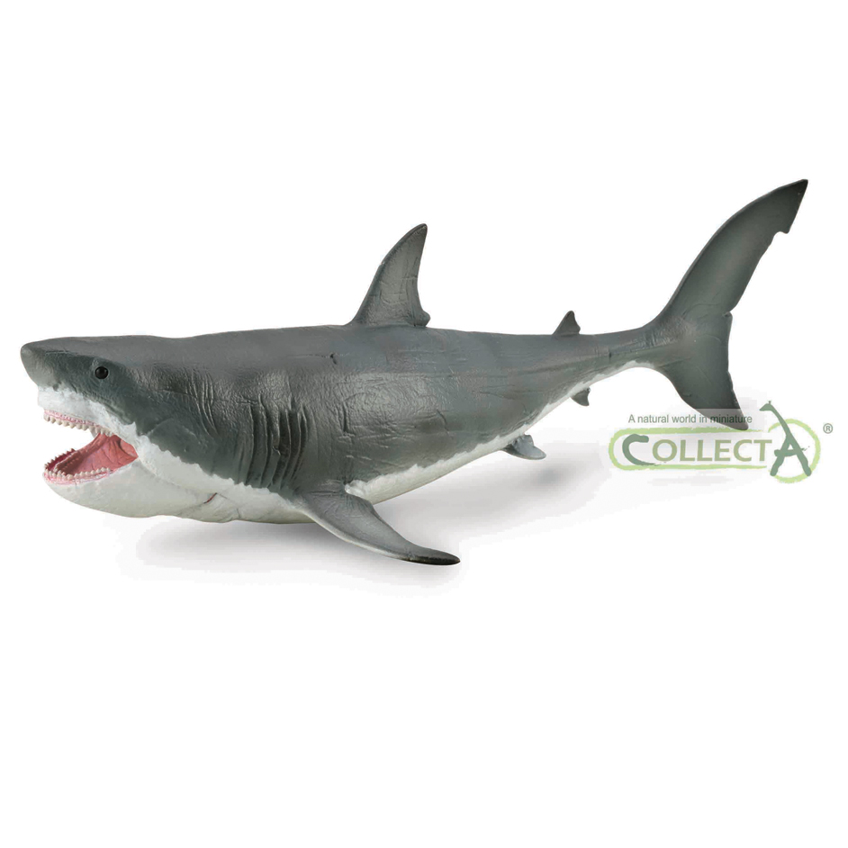 megalodon stuffed animal
