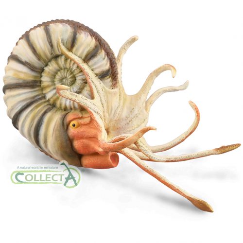 CollectA Pleuroceras ammonite model