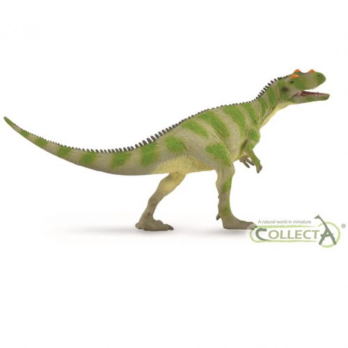 CollectA Deluxe Saltriovenator dinosaur model (1:40 scale)