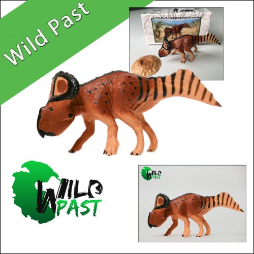 Wild Past