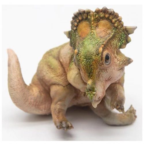 PNSO A-Qi the young Sinoceratops