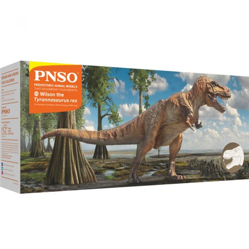 PNSO Wilson the Tyrannosaurus rex box