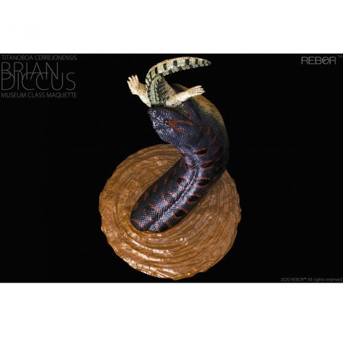 Rebor Titanoboa Museum Class Maquette Brian Diccus