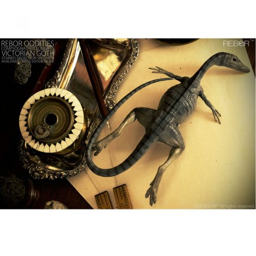 Rebor Oddities Compsognathus longipes Victorian Goth Stained Dissection Specimen (Limited Edition)