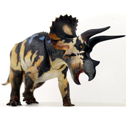 Beasts of the Mesozoic Triceratops horridus sub-adult