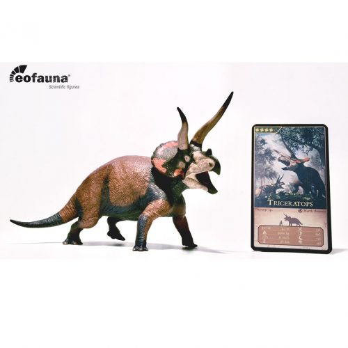 Eofauna Triceratops dinosaur model Dominant