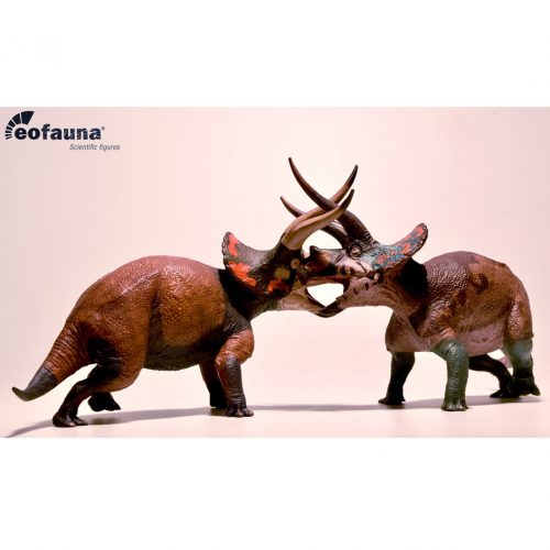 Eofauna Triceratops dinosaur models Cryptic and Dominant