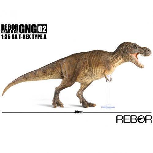 Rebor GNG02 1:35 scale SA T. rex Type A