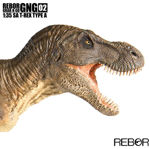 Rebor GNG02 1:35 scale SA T. rex Type A