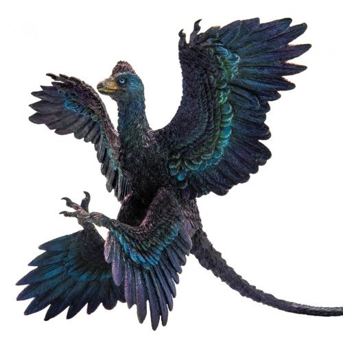 PNSO Gaoyuan the Microraptor Model