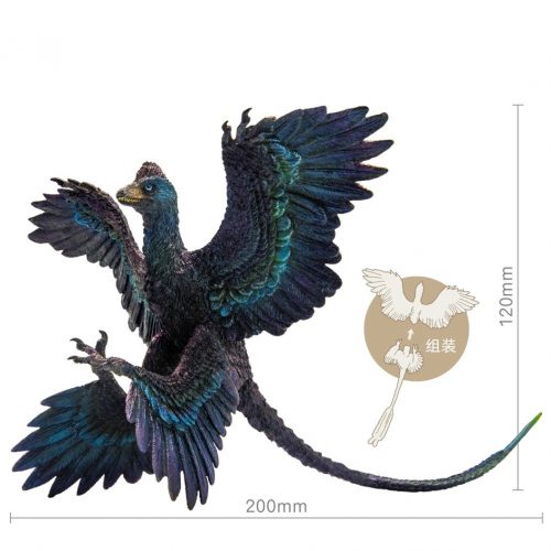 PNSO Gaoyuan the Microraptor Model