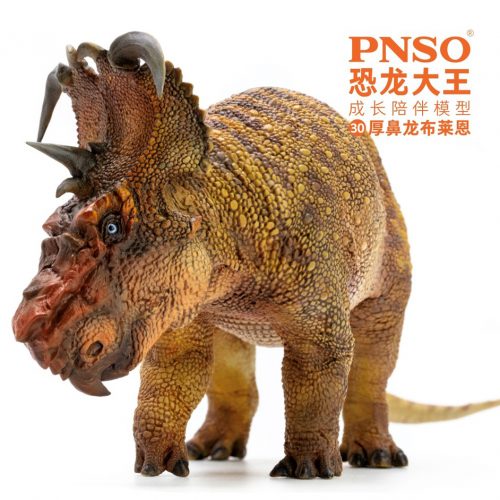 PNSO Brian the Pachyrhinosaurus