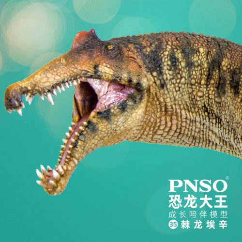 Anterior view of a PNSO Spinosaurus dinosaur model