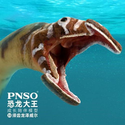 PNSO Zewail the Atopodentatus