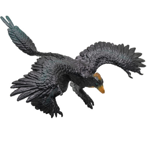 Gaoyuan the Microraptor (Theropoda)