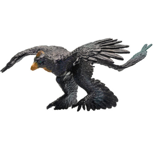 Gaoyuan the Microraptor (Theropoda)