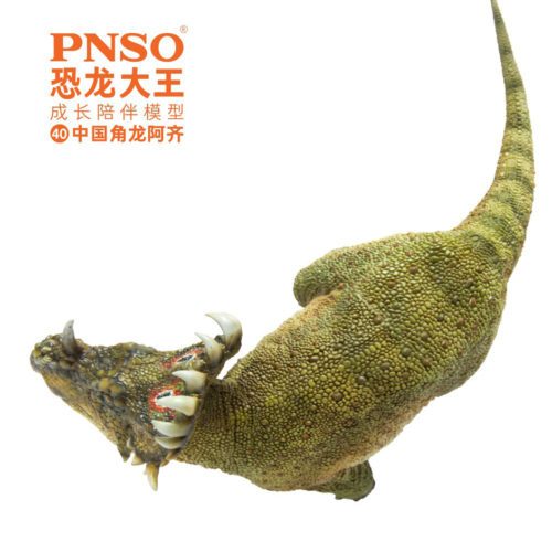PNSO A-Qi the Sinoceratops dinosaur model